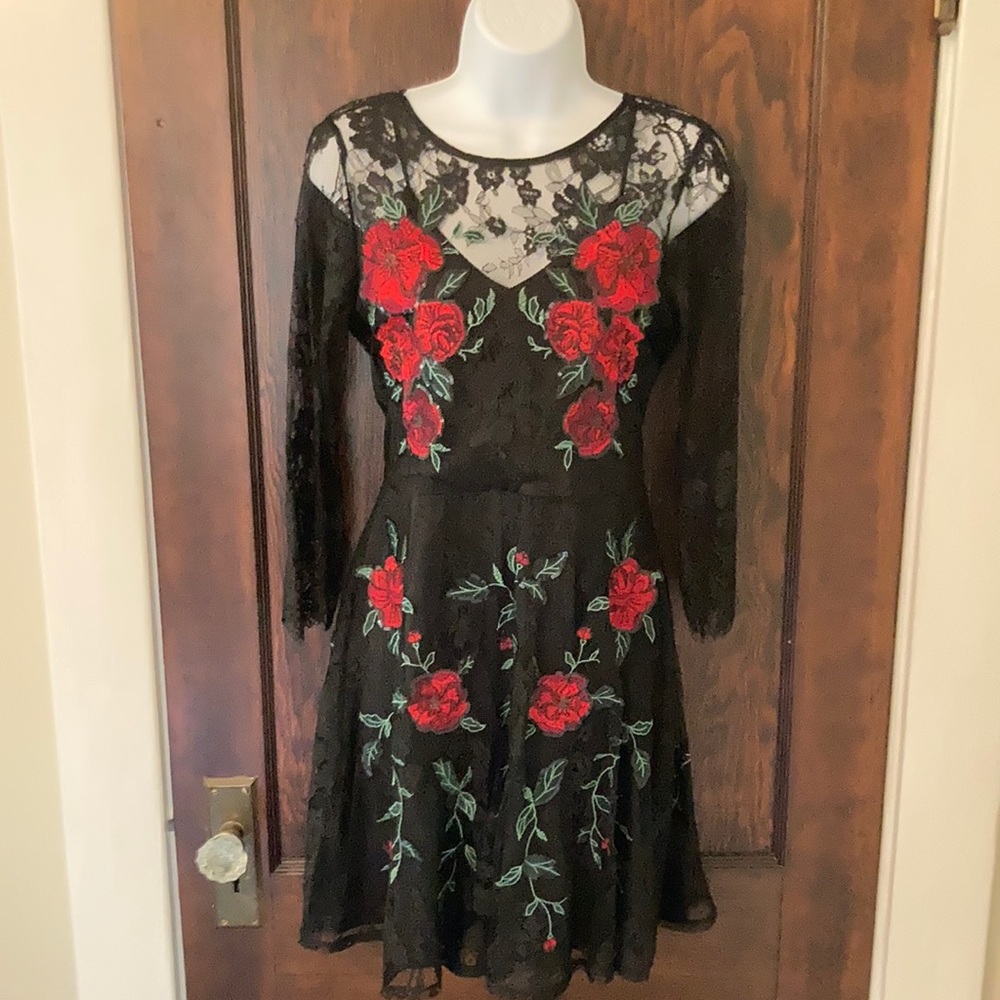 Express Embroidered Dress
